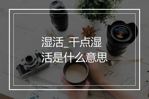 湿活_干点湿活是什么意思