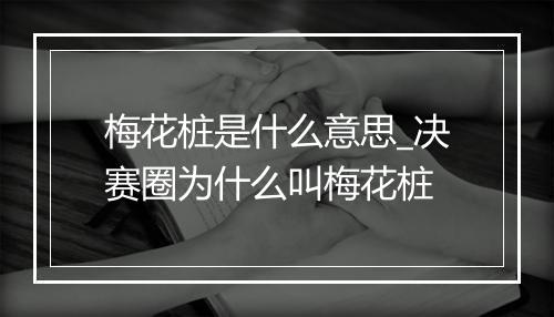 梅花桩是什么意思_决赛圈为什么叫梅花桩