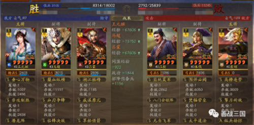 王元姬怎么搭配阵容　乐进王元姬t0阵容-第52张