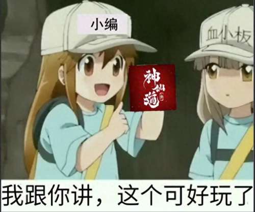 神仙道飞羽阵容搭配　神仙道平民最终伙伴-第2张