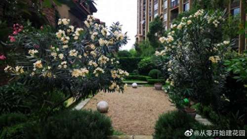 拯救花园阵容搭配攻略　天国拯救 可攻略女角色-第12张
