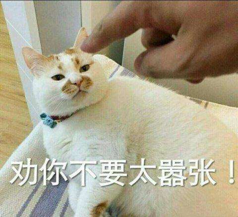 英雄之城火炮阵容推荐搭配，英雄之城2英雄搭配最厉害-第8张