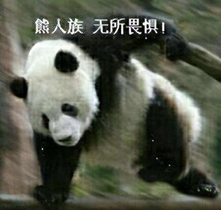 神龙勇士阵容搭配推荐最新，勇士与旅途最强阵容-第16张