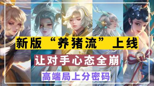扁鹊刘禅组合阵容怎么搭配，王者模拟战魏国什么阵容好-第1张