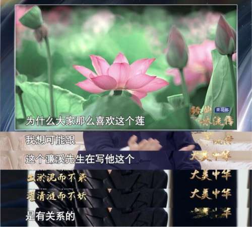 遁世隐逸搭配什么属性阵容，千鸟飞绝什么组合好-第1张