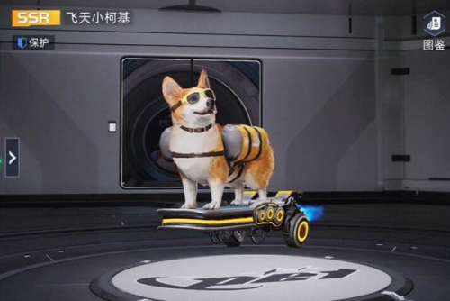 宠物星球阵容搭配图片大全，妙奇星球后期最强阵容-第5张