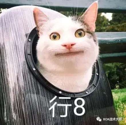 关羽孙武阵容怎么搭配最好，三国志战略版关羽开荒搭配-第48张