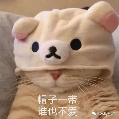 关羽孙武阵容怎么搭配最好，三国志战略版关羽开荒搭配-第67张
