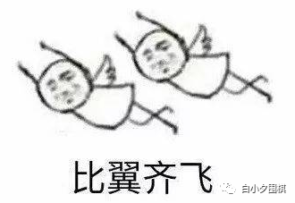 围棋阵容搭配图解大全视频，围棋布阵-第8张