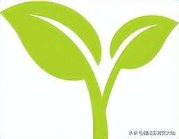 嬴政项羽阵容装备搭配最新，嬴政装备最强出装-第5张