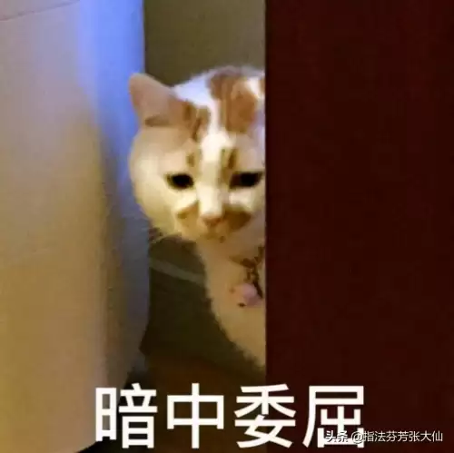 中国法师阵容推荐装备搭配，法师装备怎么搭配-第1张
