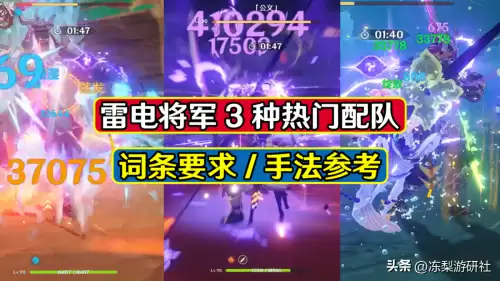 原神雷电将军战队搭配阵容，崩坏3阵容搭配排行-第1张