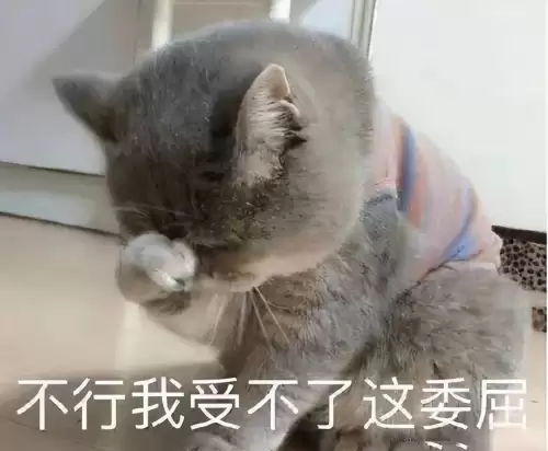 疯狂原始人2氪金阵容搭配，疯狂原始人2氪金攻略-第6张
