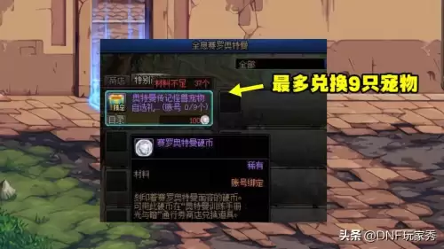 dnf宠物去哪里买　dnf商城宠物能买什么宠物-第8张