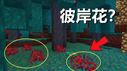 我的世界地狱疣成熟　我的世界地狱疣方块有什么用-第8张