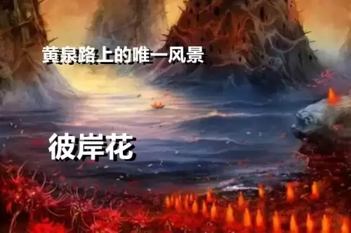 我的世界地狱疣成熟　我的世界地狱疣方块有什么用-第9张