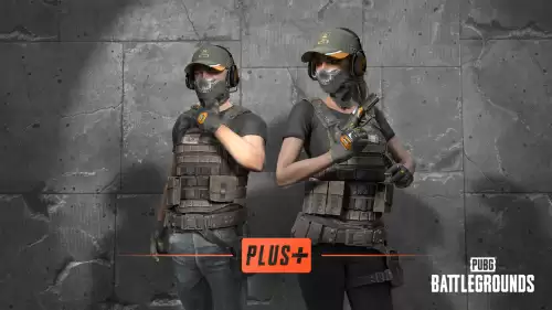 绝地求生现在花钱吗　pubg游戏加速器-第3张