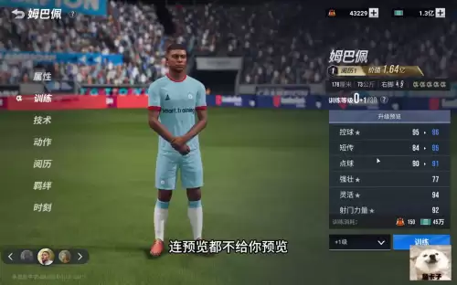 绿茵信仰联赛征程怎么培养球员　绿茵信仰联赛模式球王难度-第5张