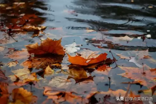 several times是什么意思　several times a second-第1张