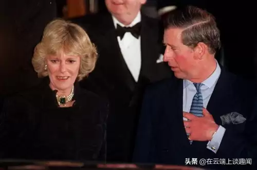 查尔斯王子爱卡米拉吗　戴安娜王妃与查尔斯王子的爱情故事-第3张