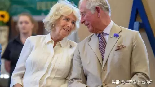 查尔斯王子爱卡米拉吗　戴安娜王妃与查尔斯王子的爱情故事-第5张
