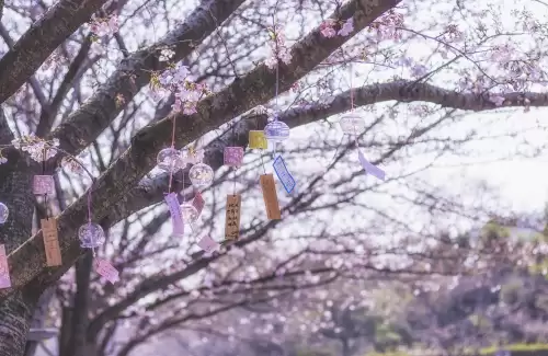 花朝节是什么意思　花朝节的经典诗词七绝-第3张