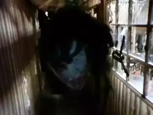 3d怨灵鬼屋在哪里　鬼屋逃生3d第5部分-第17张