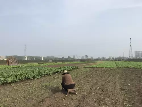 梦幻古龙模具怎么得　梦幻西游拓印技巧-第5张