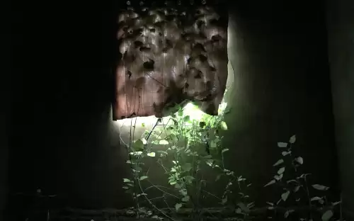梦幻古龙模具怎么得　梦幻西游拓印技巧-第6张