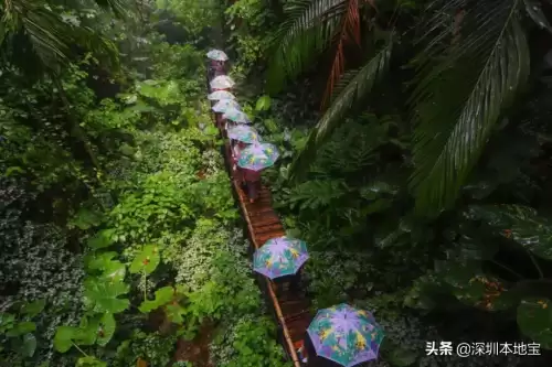 第五人格月亮湾公园过山车如何开　第五人格的过山车怎么启动-第14张