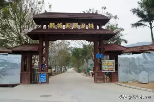 第五人格月亮湾公园过山车如何开　第五人格的过山车怎么启动-第19张
