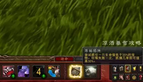wow怎么进行宠物对战　wow宠物对战 极品宠物-第15张