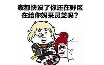 庄周炖了鲲是什么意思　王者荣耀游戏人物台词-第3张