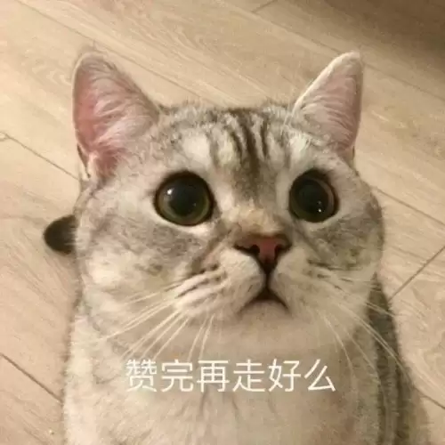 炉石传说苦潮多头蛇　炉石战棋金色多头蛇效果-第3张
