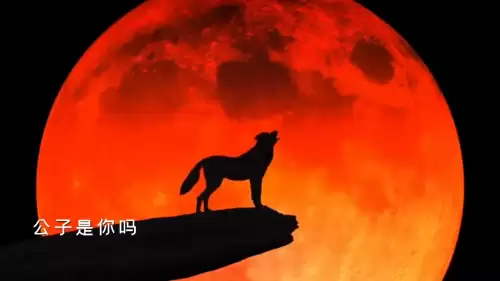 西风骑瘦马 公子是你吗是什么歌　一骑红尘妃子笑一骑的意思-第2张