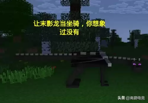 我的世界末影龙是好人吗　我的世界打完末影龙之后怎么办-第5张