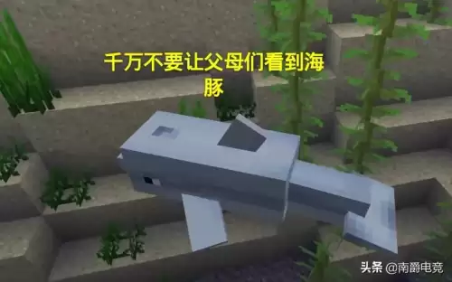 我的世界末影龙是好人吗　我的世界打完末影龙之后怎么办-第6张