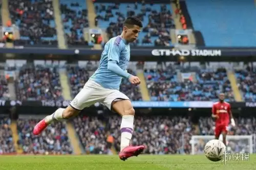 fifa足球经理出到几　足球经理fifa2013-第8张