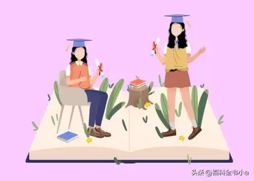 mt是什么意思中文　mt在团队中的重要性-第2张