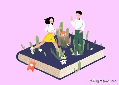 mt是什么意思中文　mt在团队中的重要性-第3张
