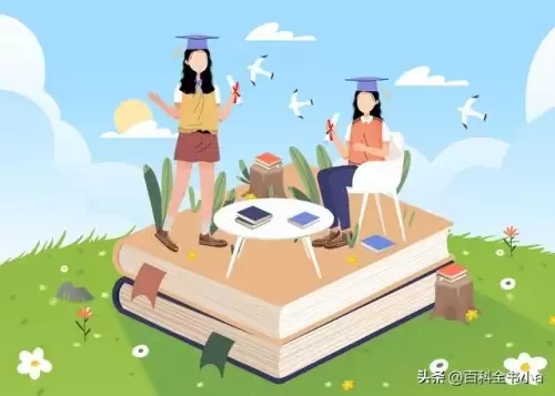 mt是什么意思中文　mt在团队中的重要性-第4张
