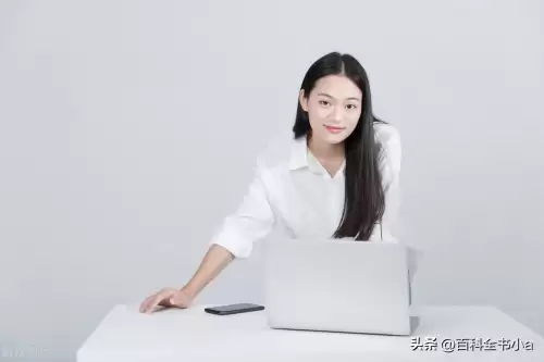mt是什么意思中文　mt在团队中的重要性-第7张