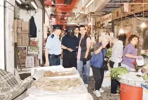 地下城堡2幽谷罗拉娜触发条件　地下城堡2幽谷罗拉娜只能打一次吗-第9张