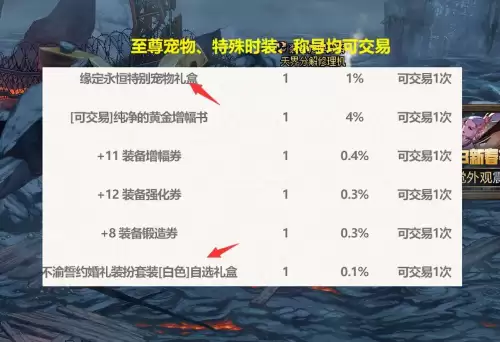 dnf五一套宠物哪个　dnf2024春节套至尊宠物-第6张