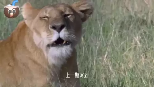 洛克王国紫毛幼狮厉害吗　金爪狂狮的介绍-第2张