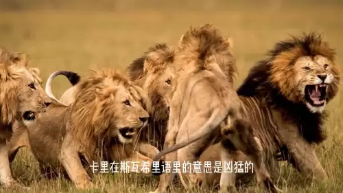 洛克王国紫毛幼狮厉害吗　金爪狂狮的介绍-第4张
