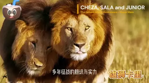 洛克王国紫毛幼狮厉害吗　金爪狂狮的介绍-第6张