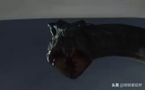 异星灾变最后的大蛇是什么　异星灾变和异形有什么关系-第4张