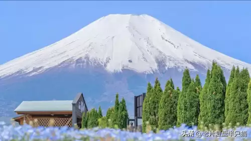 洛克王国圣域神殿在哪　洛克王国魔之博伊斯-第13张