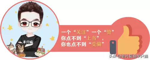 洛克王国圣域神殿在哪　洛克王国魔之博伊斯-第23张